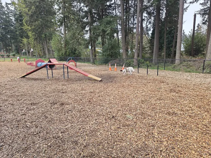 Rainier Woods Off-Leash Dog Park 5