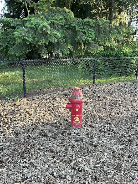 Rainier Woods Off-Leash Dog Park 9