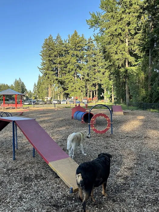 Rainier Woods Off-Leash Dog Park 6