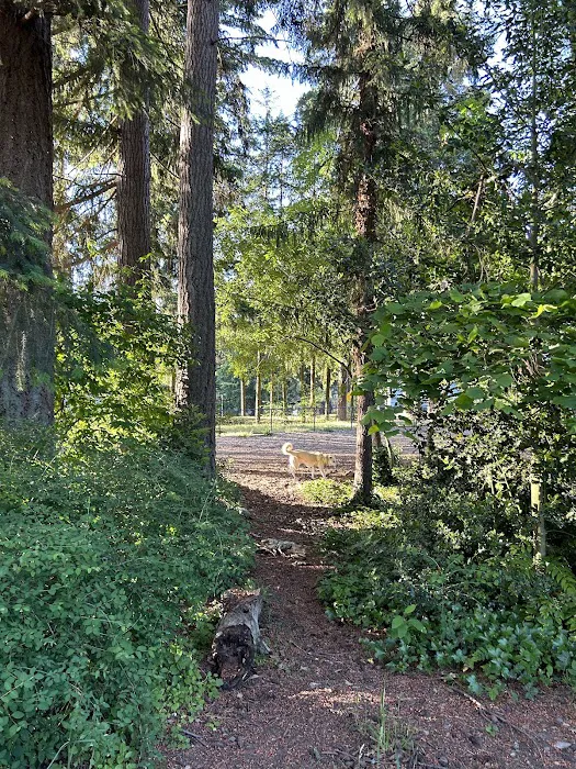 Rainier Woods Off-Leash Dog Park 4