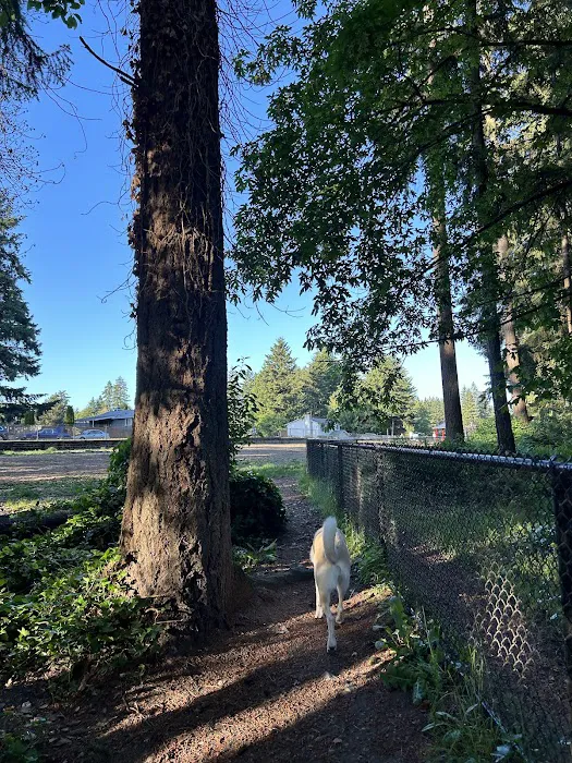 Rainier Woods Off-Leash Dog Park 2