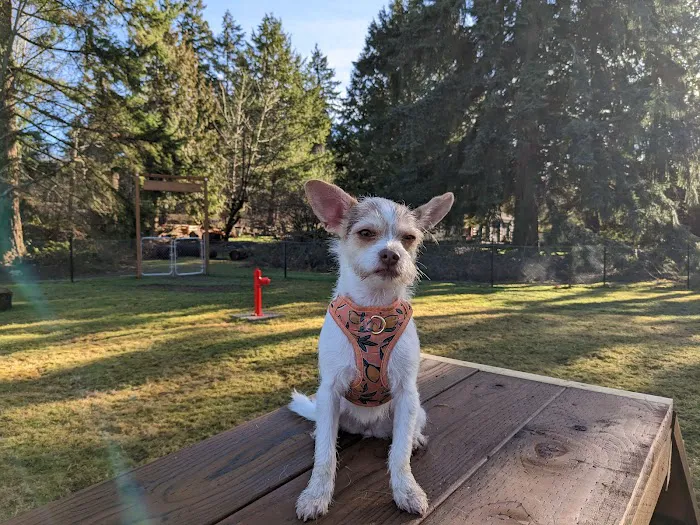 Sammy's Safe Spot, LLC 8