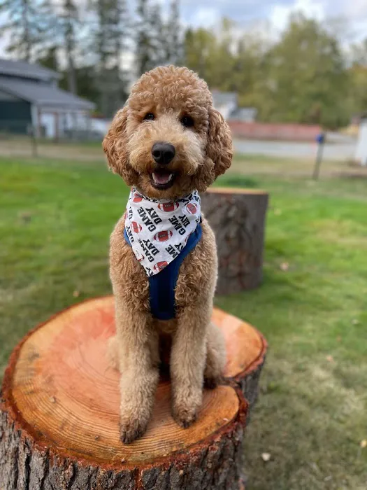 Sammy's Safe Spot, LLC 2