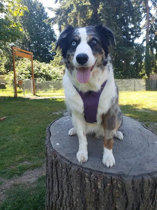 Sammy's Safe Spot, LLC 4
