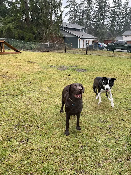Sammy's Safe Spot, LLC 6