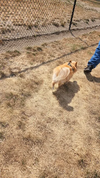 Enumclaw Dog Park 2