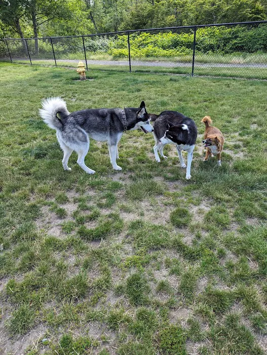 Enumclaw Dog Park 9