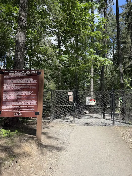 Hounds Hollow Dog Park 8