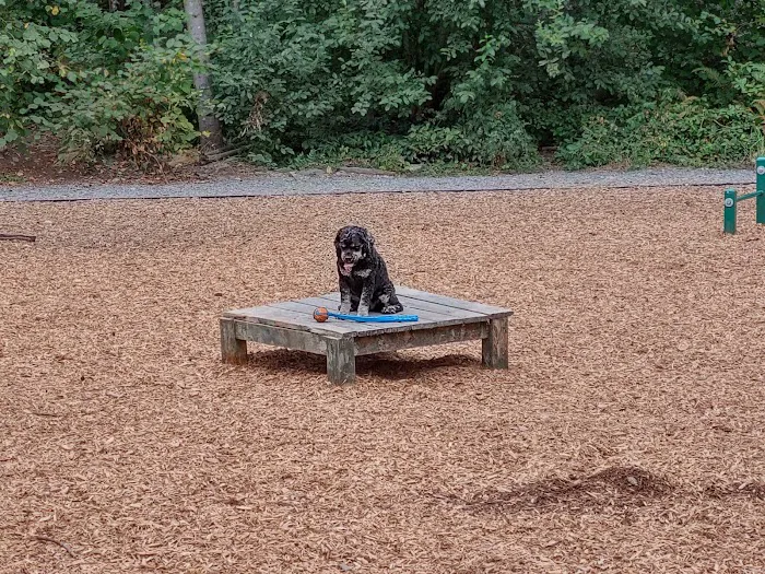 Hounds Hollow Dog Park 2
