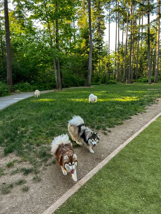 Hounds Hollow Dog Park 10