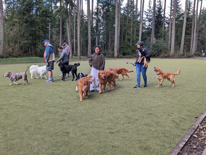 Hounds Hollow Dog Park 3