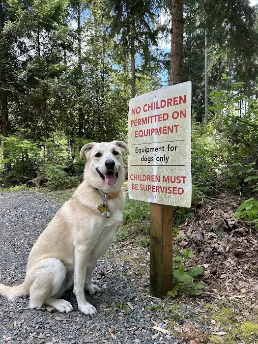Hounds Hollow Dog Park 9