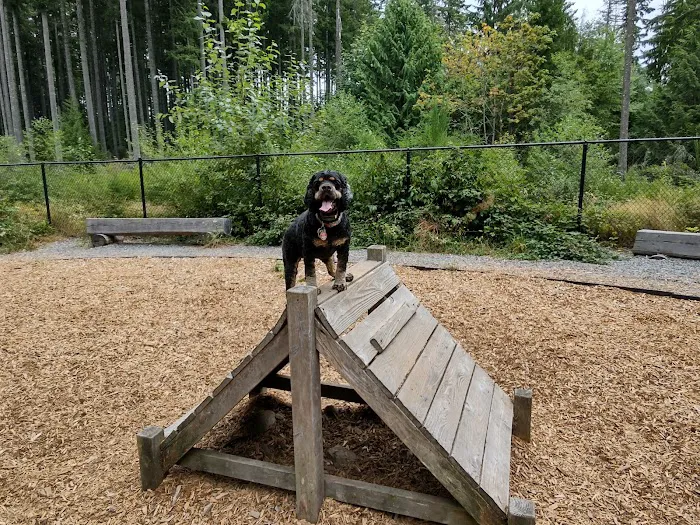 Hounds Hollow Dog Park 6