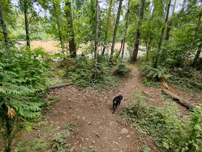 Hounds Hollow Dog Park 4
