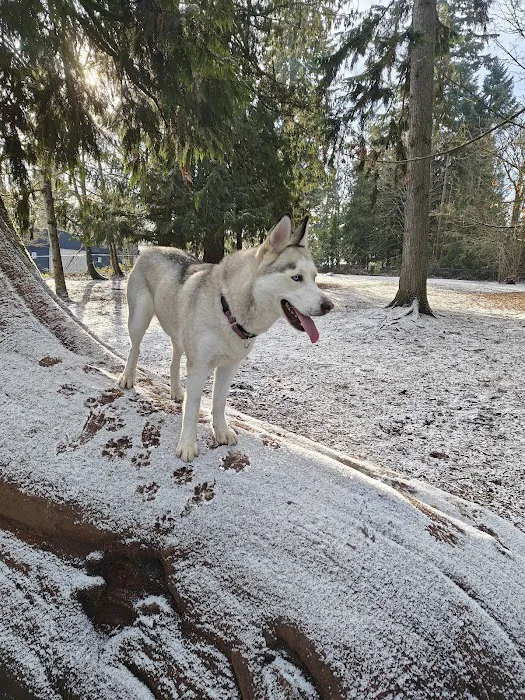 Habitat Dog Park 1