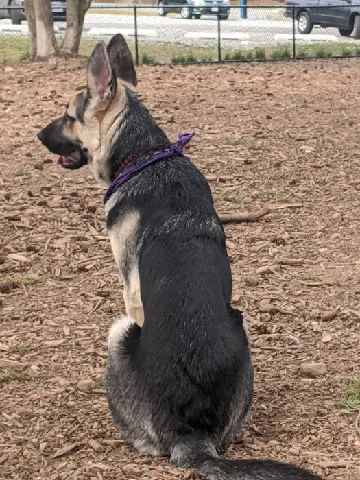 Habitat Dog Park 6
