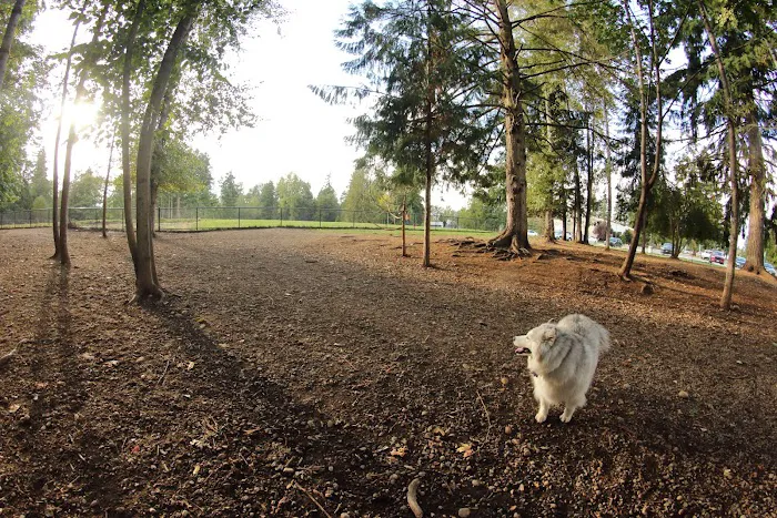 Habitat Dog Park 9