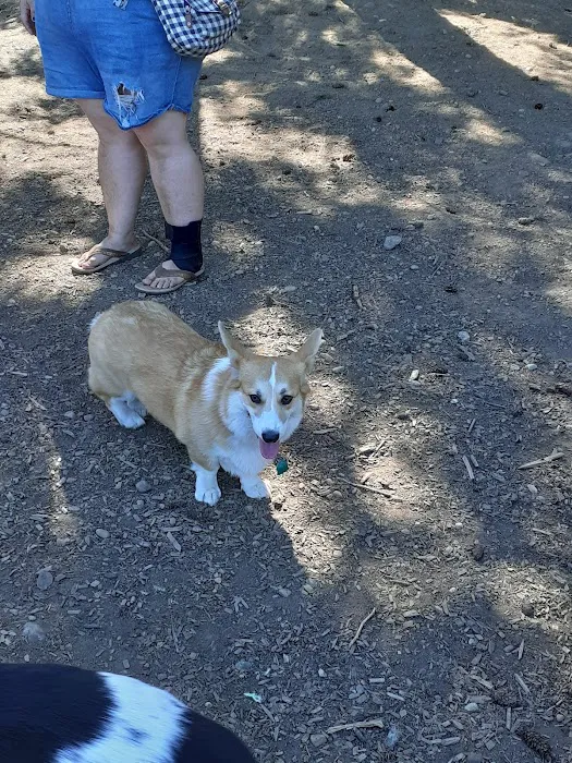 Habitat Dog Park 10