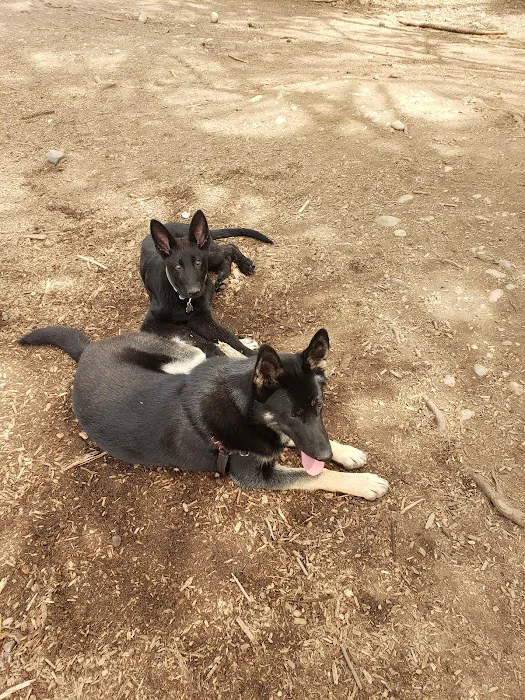 Habitat Dog Park 8