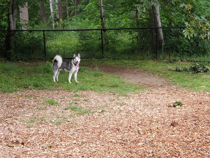 Habitat Dog Park 2