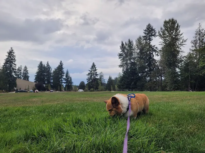 Habitat Dog Park 3