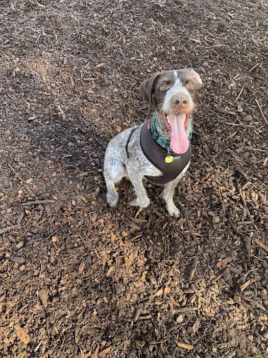 Habitat Dog Park 7