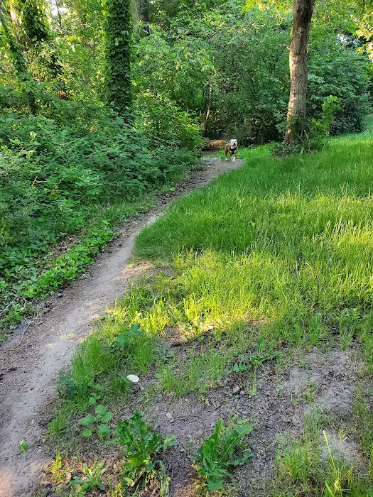 Wapato Park Off-Leash Dog Park 10