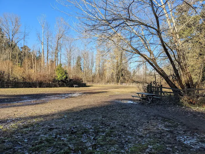 Wapato Park Off-Leash Dog Park 4