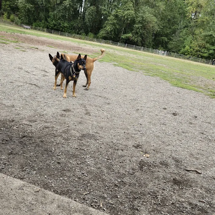 Wapato Park Off-Leash Dog Park 5