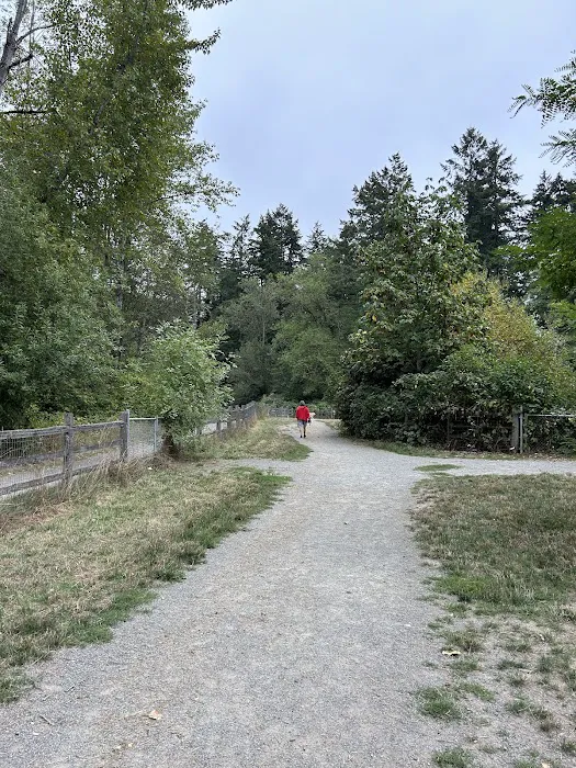 Wapato Park Off-Leash Dog Park 2