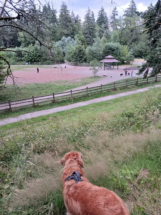 Wapato Park Off-Leash Dog Park 3