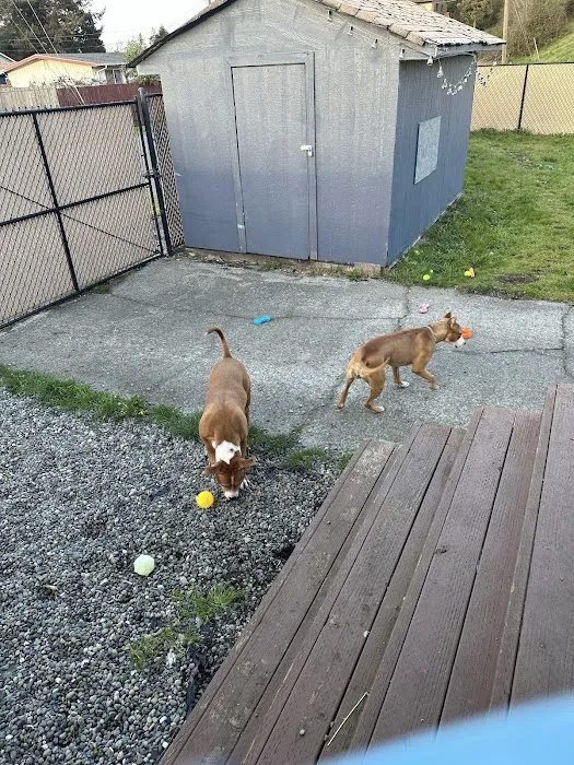 SniffSpot South Tacoma 6
