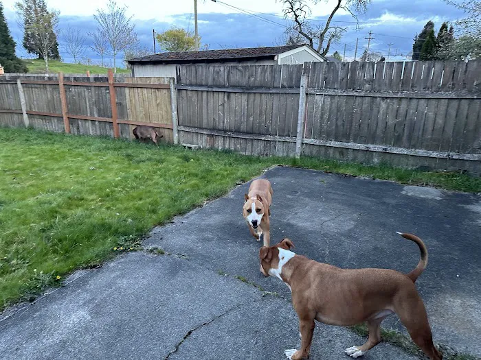 SniffSpot South Tacoma 1