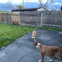 SniffSpot South Tacoma ico