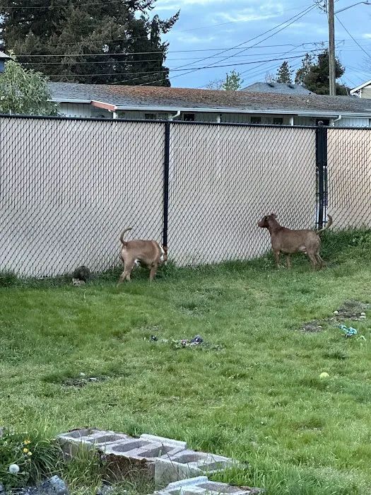SniffSpot South Tacoma 4