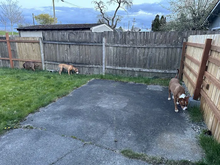 SniffSpot South Tacoma 8