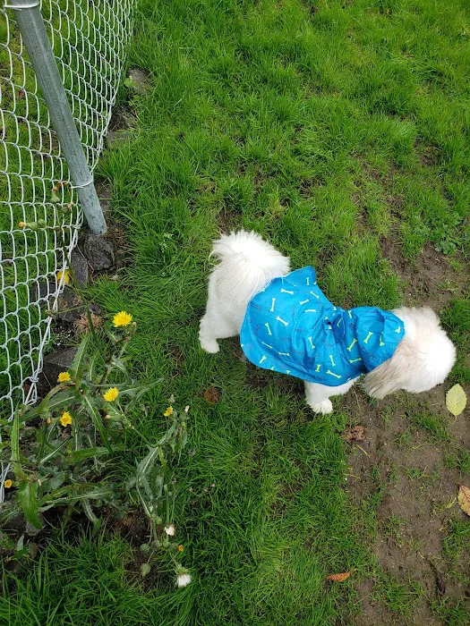 Tubby's Trail Dog Park 6