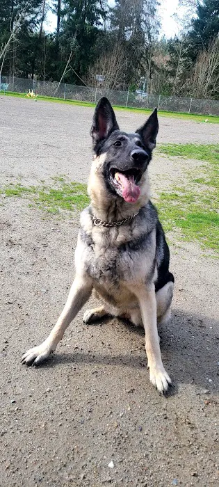 Tubby's Trail Dog Park 2