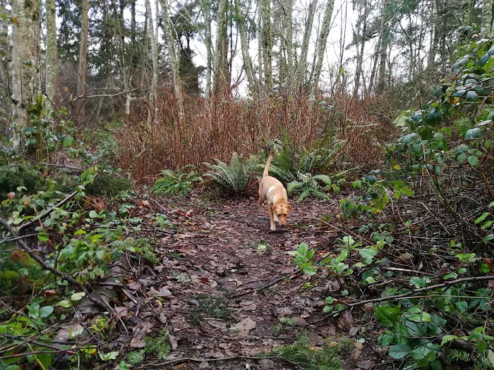 Tubby's Trail Dog Park 5