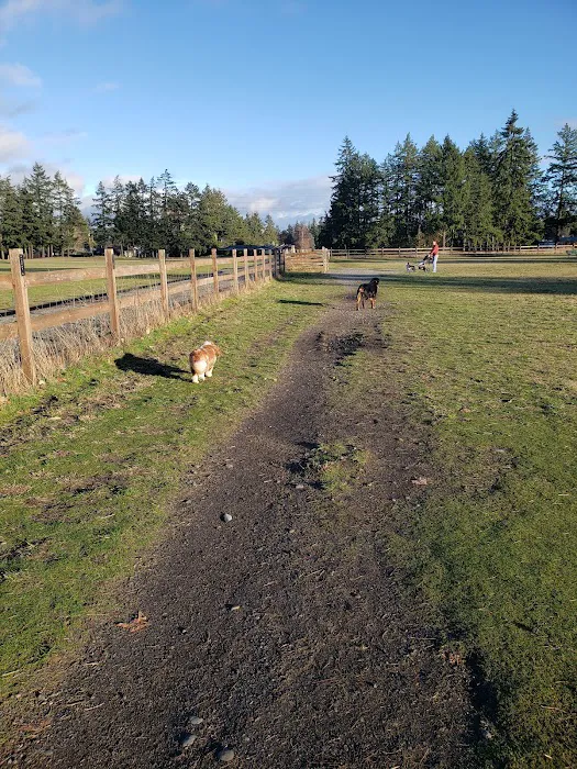 Fort Steilacoom Large Dog Park 3