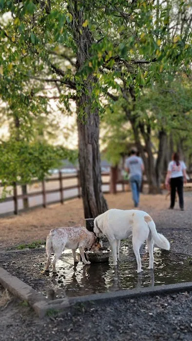 Fort Steilacoom Large Dog Park 1