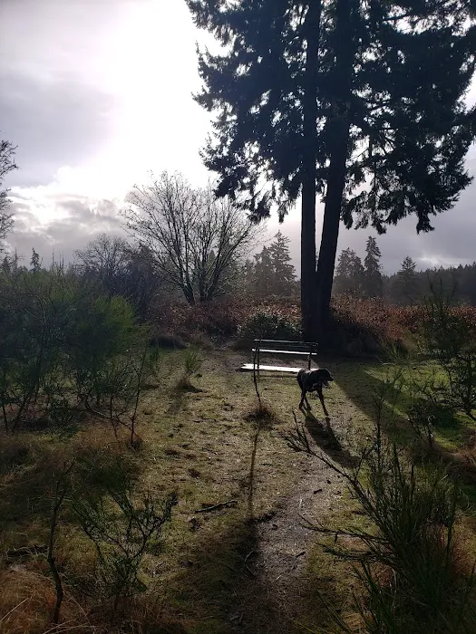 Fort Steilacoom Large Dog Park 9