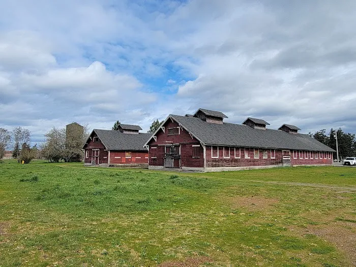 Fort Steilacoom Dog Park 2