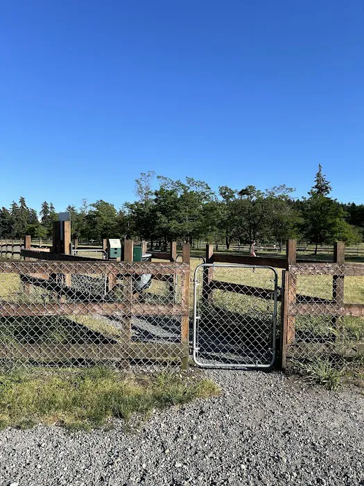 Fort Steilacoom Dog Park 3
