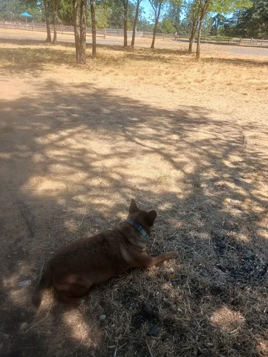 Fort Steilacoom Dog Park 7