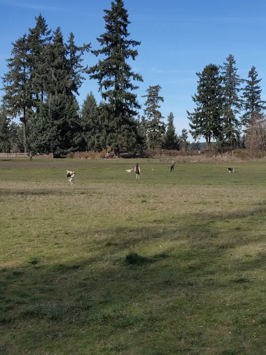 Fort Steilacoom Dog Park 1
