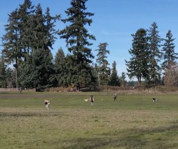 Fort Steilacoom Dog Park