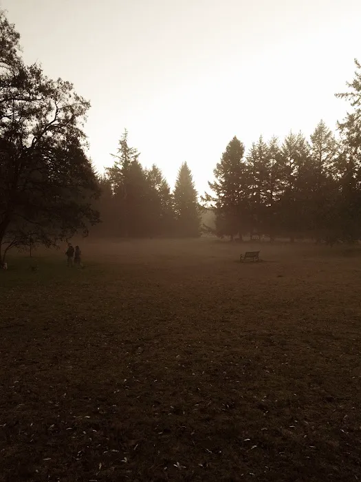 Dog Park 6