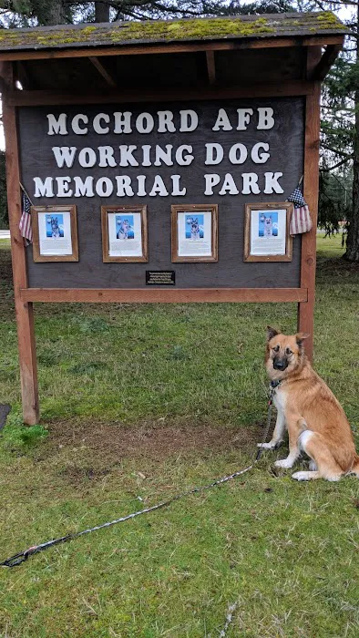 Dog Park 1