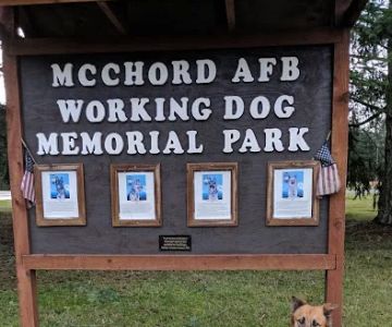 Dog Park